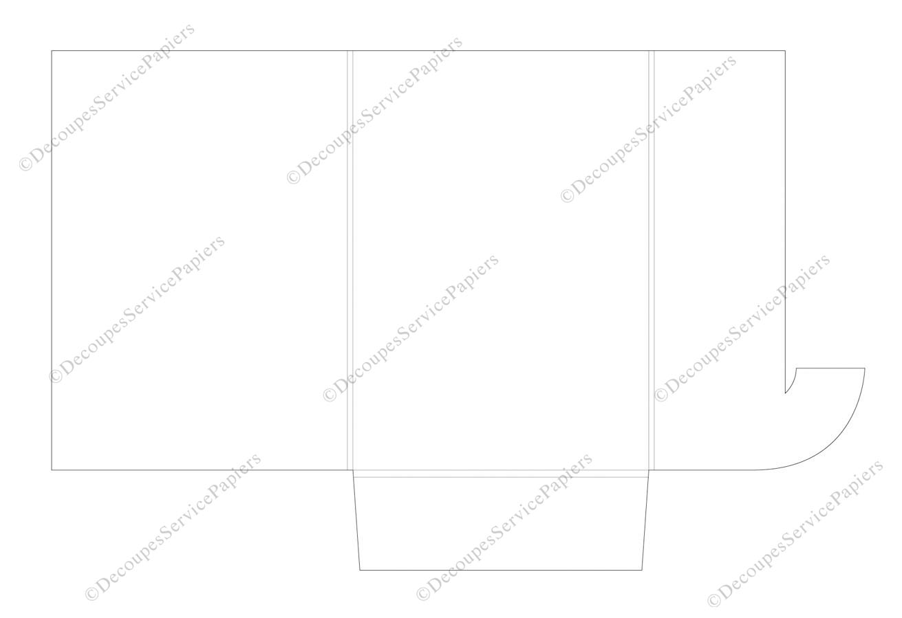 CHEMISE F 215 X 305 R4 O 591 X 378.jpg